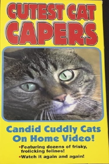 Cutest Cat Capers Trailer