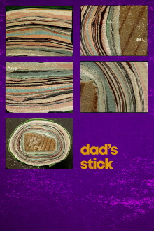 Dad's Stick Trailer