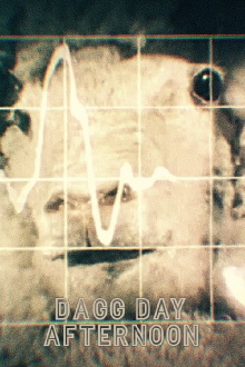 Dagg Day Afternoon Trailer