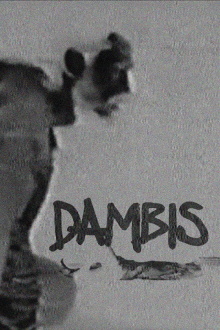 Dambis Trailer