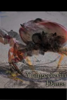 Dance of the Crabs Trailer