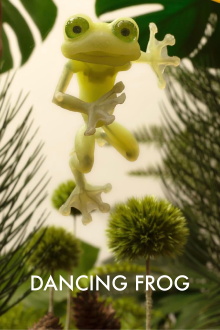 Dancing Frog Trailer