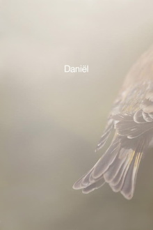 Daniël Trailer