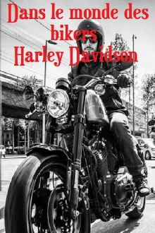 Dans le monde des bikers Harley Davidson Trailer