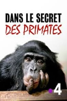 Dans le secret des primates Trailer