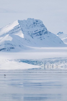 Dans les Glaces de l’Arctique Trailer