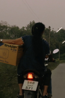 Daovikarn Trailer