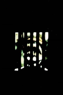 Dark Trailer