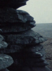 Dartmoor Trailer