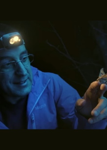 Darwin in Times Square: The Science of Urban Evolution Trailer