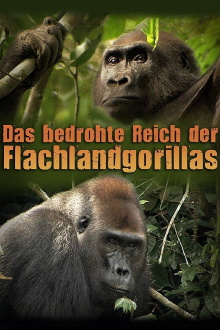 Das bedrohte Reich der Flachlandgorillas Trailer