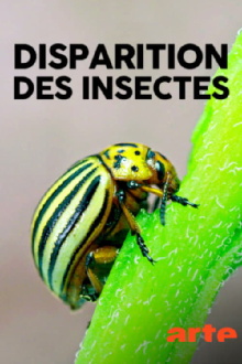Das große Insektensterben Trailer