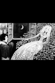 Das Myrtenfräulein Trailer