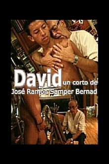 David Trailer