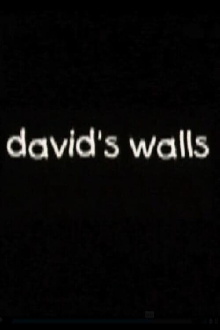 David's Walls Trailer