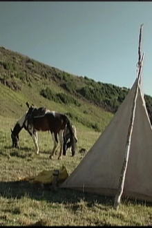 Day Break on the Bed Ground Trailer