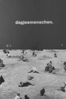 Daytrippers Trailer