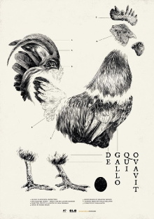 De Gallo Qui Ovavit Trailer