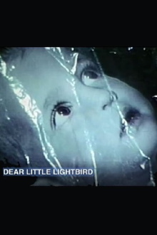 Dear Little Lightbird Trailer