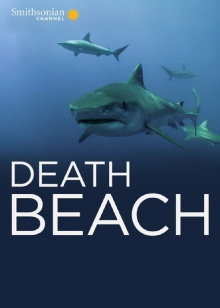 Death Beach Trailer