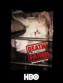 Death on a Factory Farm Trailer