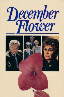 December Flower Trailer