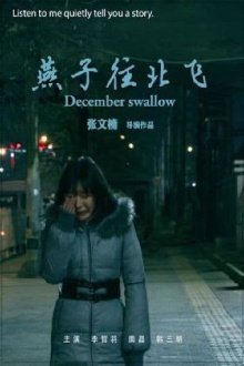December Swallow Trailer