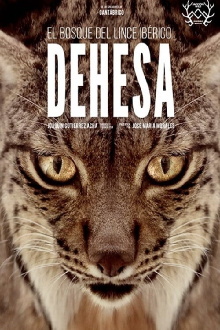 Dehesa: The Forest of the Iberian Lynx Trailer
