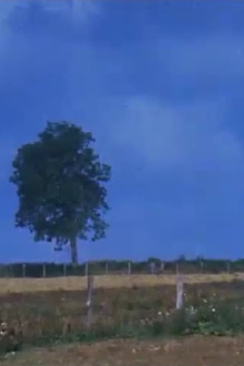 Dehors Trailer