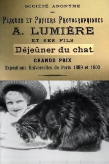 Déjeuner du Chat Trailer