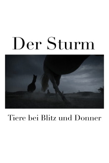 Der Sturm - Tiere bei Blitz und Donner Trailer
