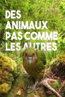 Des animaux pas comme les autres Trailer