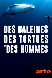 Des baleines, des tortues et des hommes Trailer