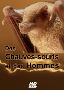 Des Chauves-souris et des Hommes Trailer