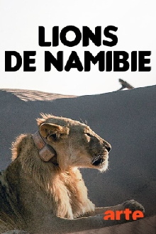 Desert Lions of the Namib - Departure and Return Trailer