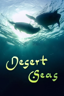 Desert Seas Trailer