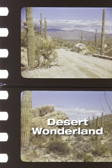Desert Wonderland Trailer