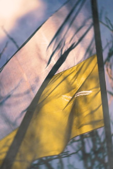 Despair and Defiance: The Battle for Ukraine Trailer
