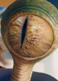 Dessine-moi un alien Trailer