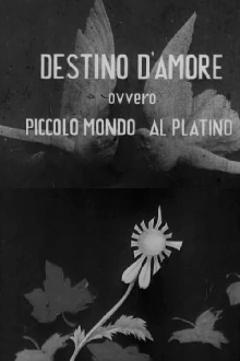 Destino d'amore, ovvero, piccolo mundo al platino Trailer