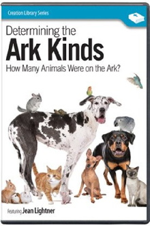Determining the Ark Kinds Trailer