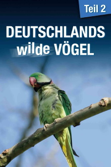 Deutschlands Wilde Vögel 2 Trailer