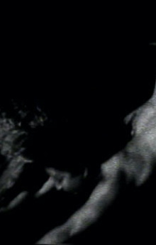 Deviant Beauty Trailer