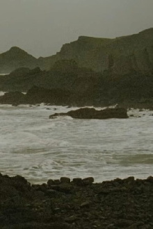 Devon Trailer