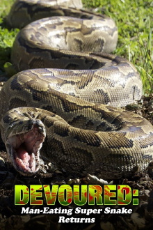 Devoured: Man-Eating Super Snake Returns Trailer