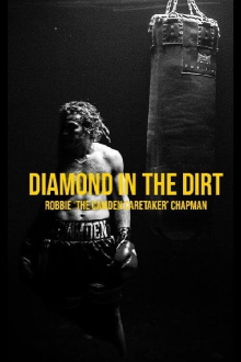 Diamond In The Dirt Trailer