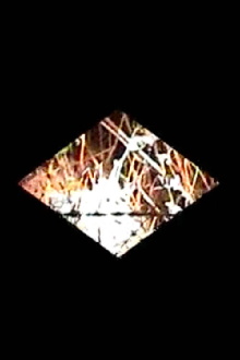 Diamondback Trailer