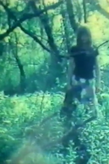 Diary Films I - V Trailer