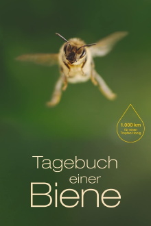 Diary of a Bee Trailer