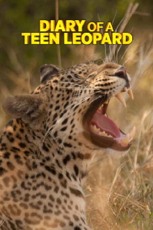 Diary of a Teen Leopard Trailer